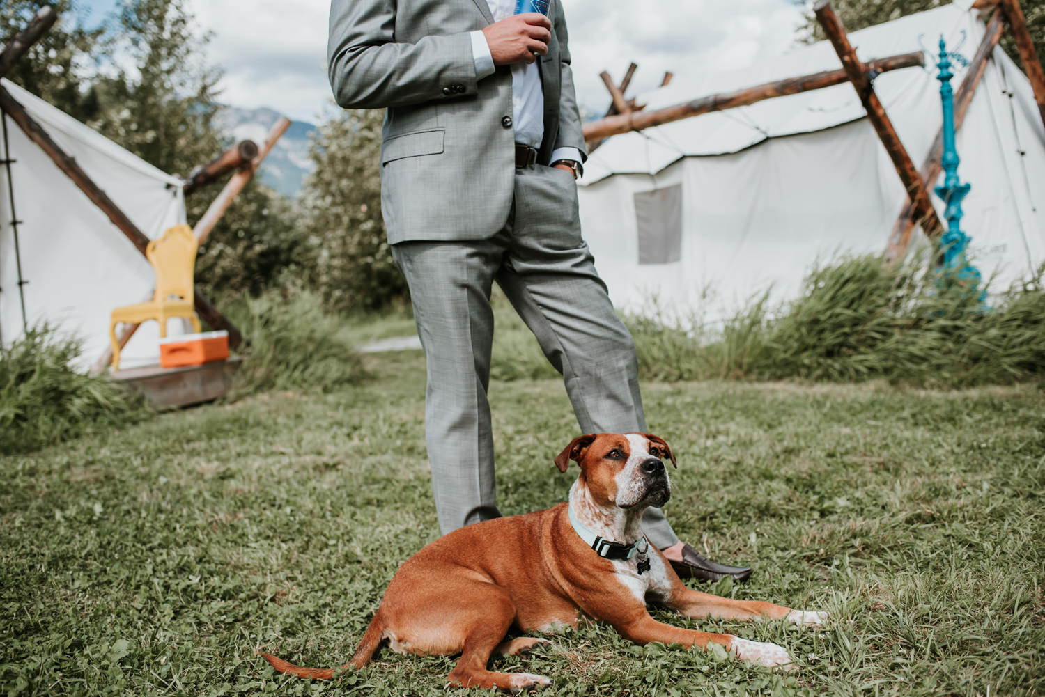 dogs at Pemberton BC wedding