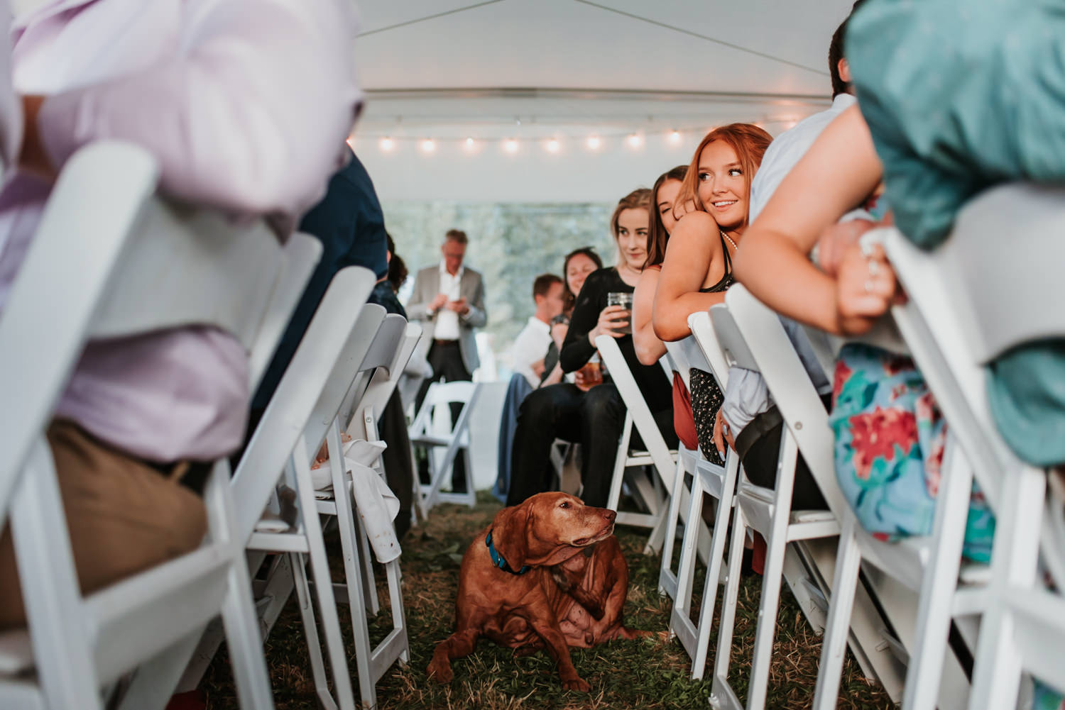 Pemberton wedding reception photography