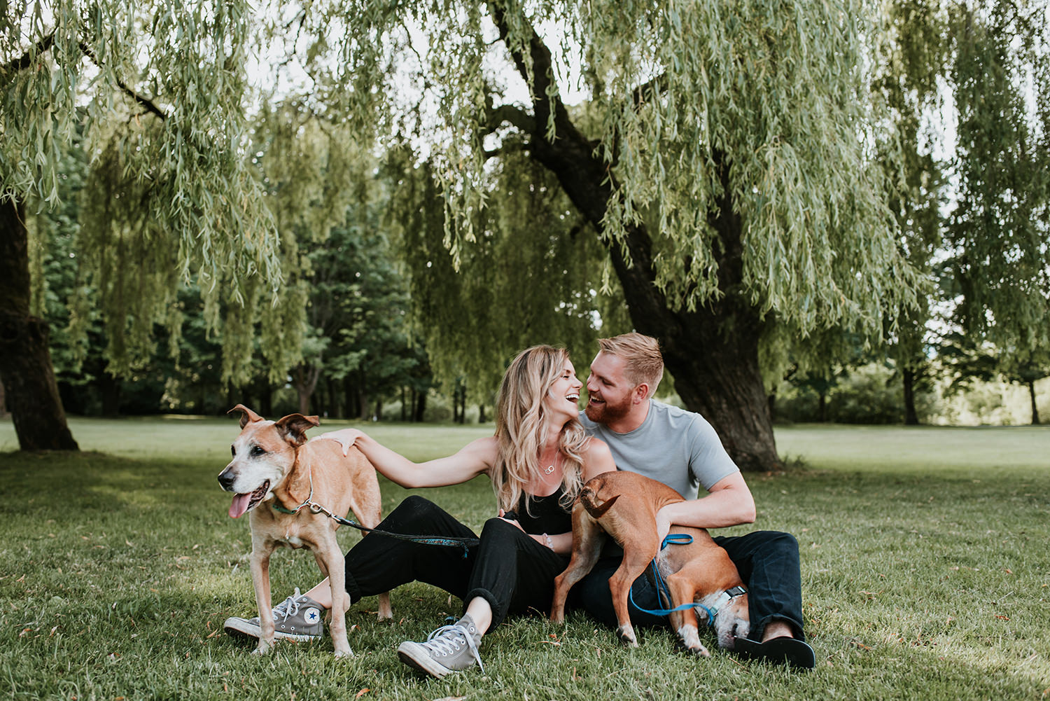 Vancouver BC newly engaged couple with dogs