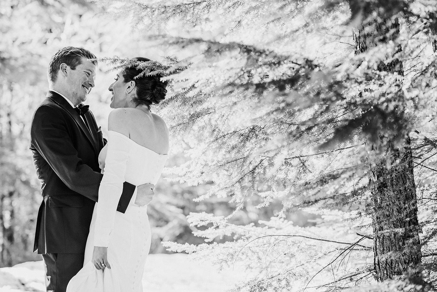 Whistler wedding photographer captures whistler elopement