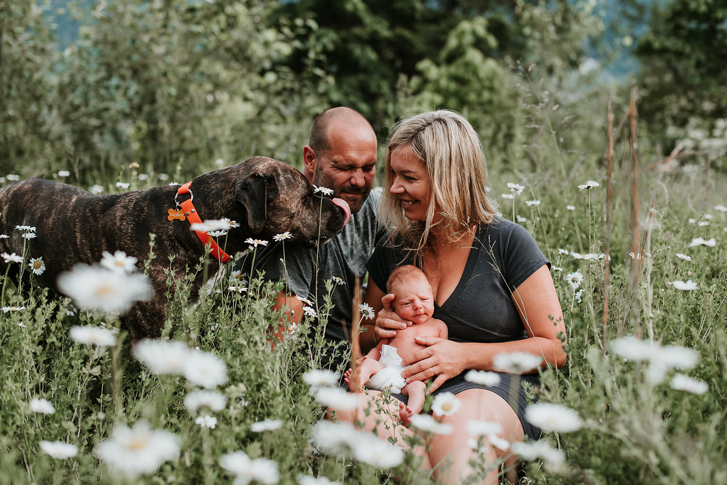 Pemberton photographer photographs newborn family session