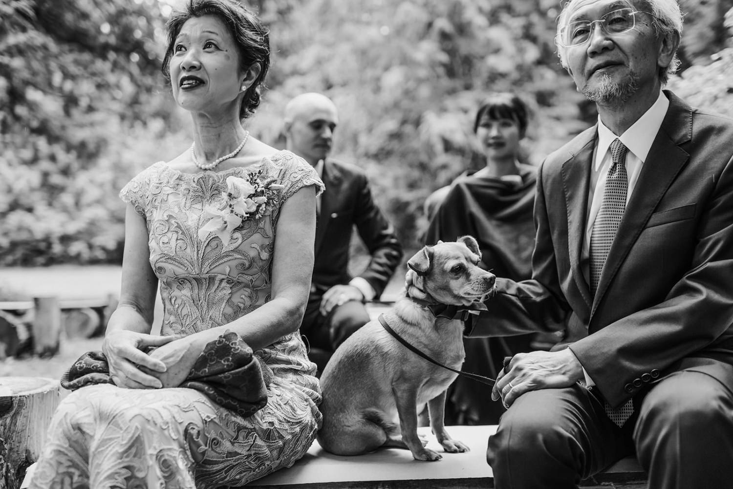 Dog at wedding ceremony in Pemberton BC