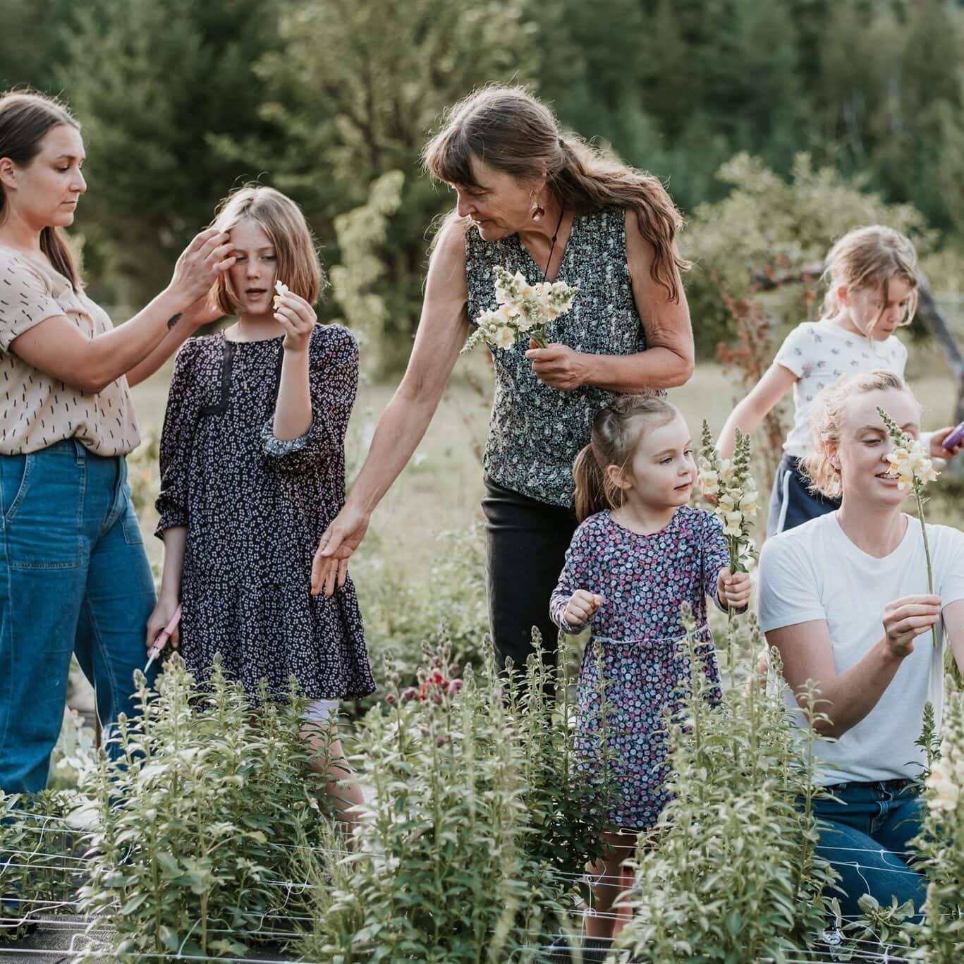 Whistler family photography by Darby Magill